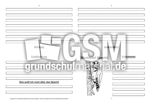 Specht-Faltbuch-vierseitig-2.pdf
